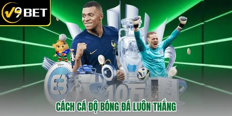 cách cá độ bóng đá luôn thắng